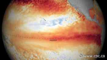 With El Niño expected to stretch into the winter, all eyes are on 2024