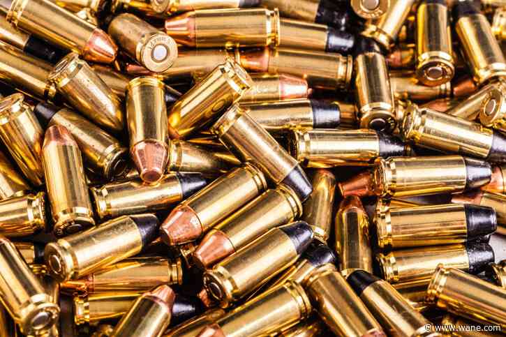 Court docs: Southern Indiana man watched child porn at Wendy's, stole ammo from US military