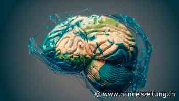 Vergesst  die Zielgruppe!