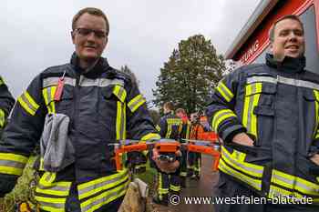 Feuerwehr hilft bei Suche: 17 Pferde auf einmal in Bad Driburg ausgebüxt