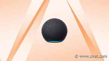 Nab a Brand New 4th-Gen Echo Dot for Just $19 at Woot     - CNET