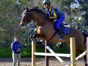 Cade da cavallo poi la tragica fine: morta l'amazzone Margherita Mayer