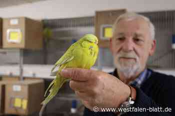 Franz-Josef Mikus in Riesel lebt für seine Wellensittiche