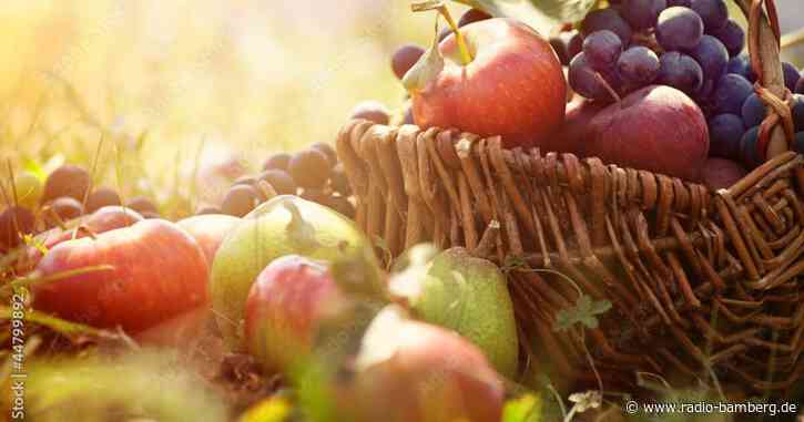 Landkreis Forchheim auf der Consumenta