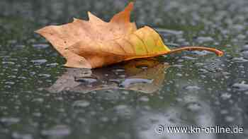 Wettervorhersage für Freitag, 27.10.2023 und die nächsten Tage