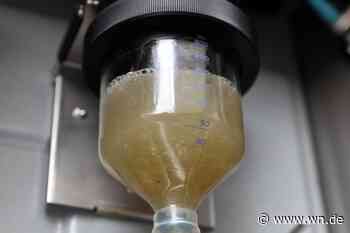 Ein Frühwarnsystem für Corona-Wellen