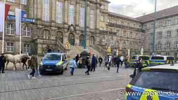 Mädchen entwendet Pferde und reitet sieben Kilometer in die Großstadt – „Da hätte wer weiß was passieren können“