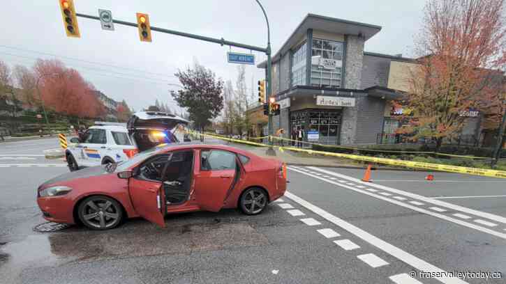 Man barrels through scene of fatal crash, gets arrested on the spot: Lower Mainland RCMP