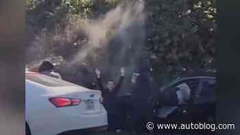 Los Angeles freeway heist: Watch gunmen target victim in two-car operation