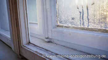Kondenswasser am Fenster: Wie vermeidet man, dass morgens die Scheiben nass sind?