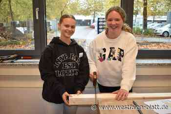 „zdi-Mädchen-Camp“ findet erstmals in Schloß Holte-Stukenbrock statt