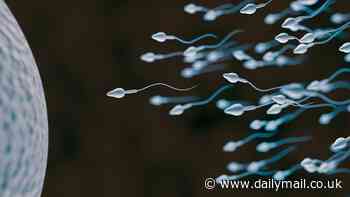 Scientists discover for the first time that sperm defy one of Newton's laws of PHYSICS