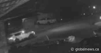 Targeted drive-by shooting in southeast Edmonton put families at risk: Police