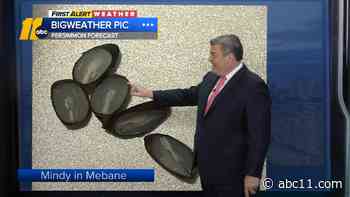 Persimmon seeds predict cold, snowy winter