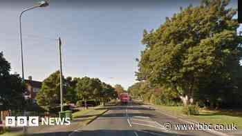 Four boys arrested over Waltham village burglary