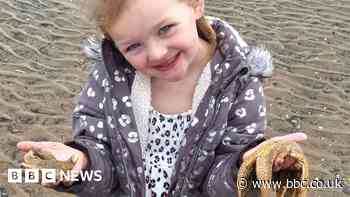 Cleethorpes: Chris Packham praises girl, 3, for saving starfish