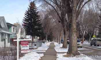 7% tax increase may be needed in 2024 to maintain services: City of Edmonton report