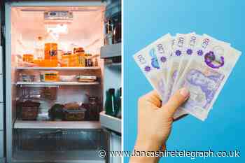 Fridges can add up to £580 to your energy bill - How to save