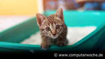 Die Königsklasse der Katzenhygiene: Was digitale Katzenklos können