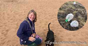 Northumberland dog owner's warning after pet eats toxic substance washed up on beach