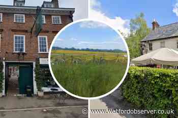 Nearest Pubs to Watford to enjoy 'the best Sunday roasts'