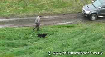 Blind dog reunited with owner after 3 days missing: Watch