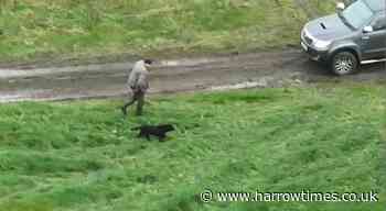 Blind dog reunited with owner after 3 days missing: Watch