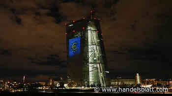 EZB-Umfrage: Ökonomen senken ihre Wachstumsprognosen leicht