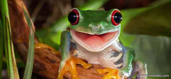 PEPE Price Leaps 90% As Meme Coin Reaches Over 155,000 On-Chain Wallets