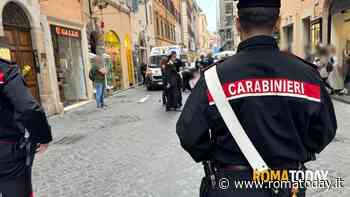 Cane cade da un palazzo e colpisce una donna incinta