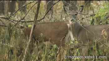 Two youths accidentally shoot guardians during Minnesota's youth hunting season