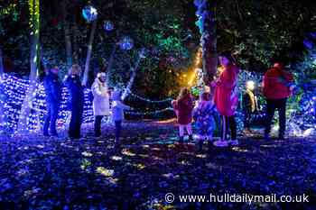 Spectacular Winter Light Trail in Hull's East Park is victim of 'spiralling costs'