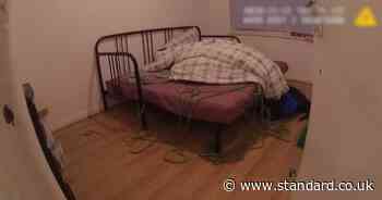 London torture gang poured boiling water over kidnap victim