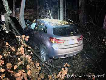 Cantley man, 44, charged with impaired after car travels metres into heavy woods, severing hydro pole