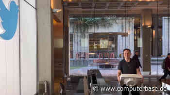 Ein Jahr unter Elon Musk: X kämpft mit Verlusten und sinkender Reichweite