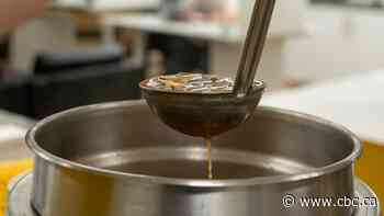 Lakehead's on-campus food program seeing longer lineups