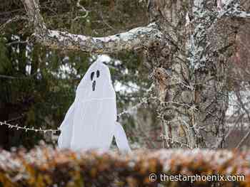 Saskatoon weather: Chance of snow heading into Halloween weekend