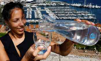 Le conseil d’agglomération Cannes Pays de Lérins salue le travail du Sicasil sur la qualité et le prix de l'eau