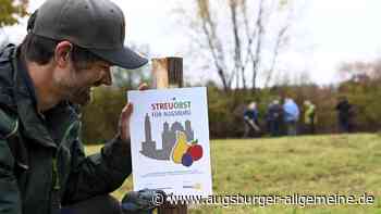 Eine neue Streuobstwiese entsteht am Vehicle-Park in Pfersee