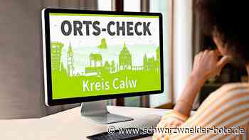 Rund 3000 Teilnehmer: So hat der Kreis Calw beim Orts-Check abgeschnitten