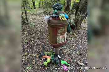 High Elms County Park: Overflowing dog poo bins