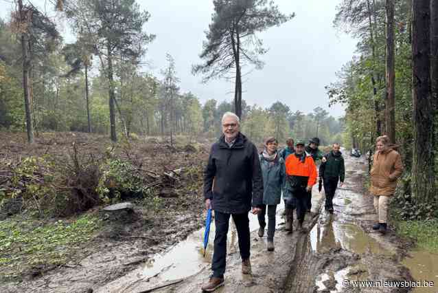 Steeds meer open ruimte op Kempense Heuvelrug: kappingen aan Lavendelweg en straks ook aan Toeristentoren