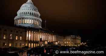 New Speaker plans December farm bill vote