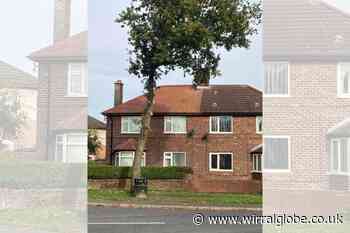 Mum’s outrage after children’s rope swing removed by council