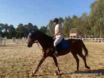 Lo choc durante la prova: muore davanti al marito