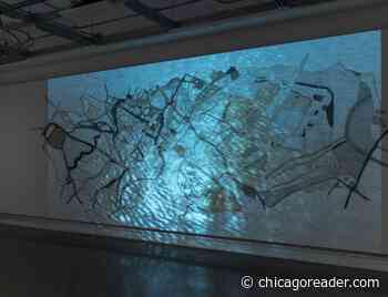 Discover five new Chicagoland artists 