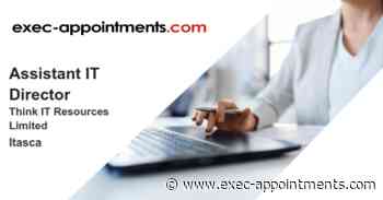 Think IT Resources Limited: Assistant IT Director