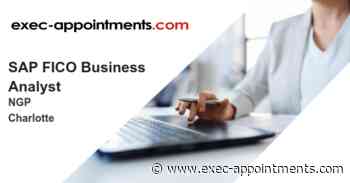 NGP: SAP FICO Business Analyst
