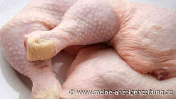 Zahlreiche Länder in Europa betroffen: Hühnerfleisch mit Salmonellen kontaminiert