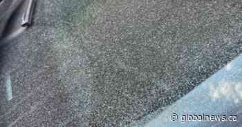 ‘Cement materials’ in fallout that covered cars, homes in Hamilton neighbourhood, province says